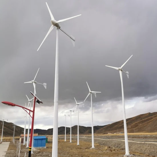 New Design 2000W 48V 96V Horizontal Axis Wind Turbine 2kw 1kw 3kw 5kw Wind Power Generator for Sale